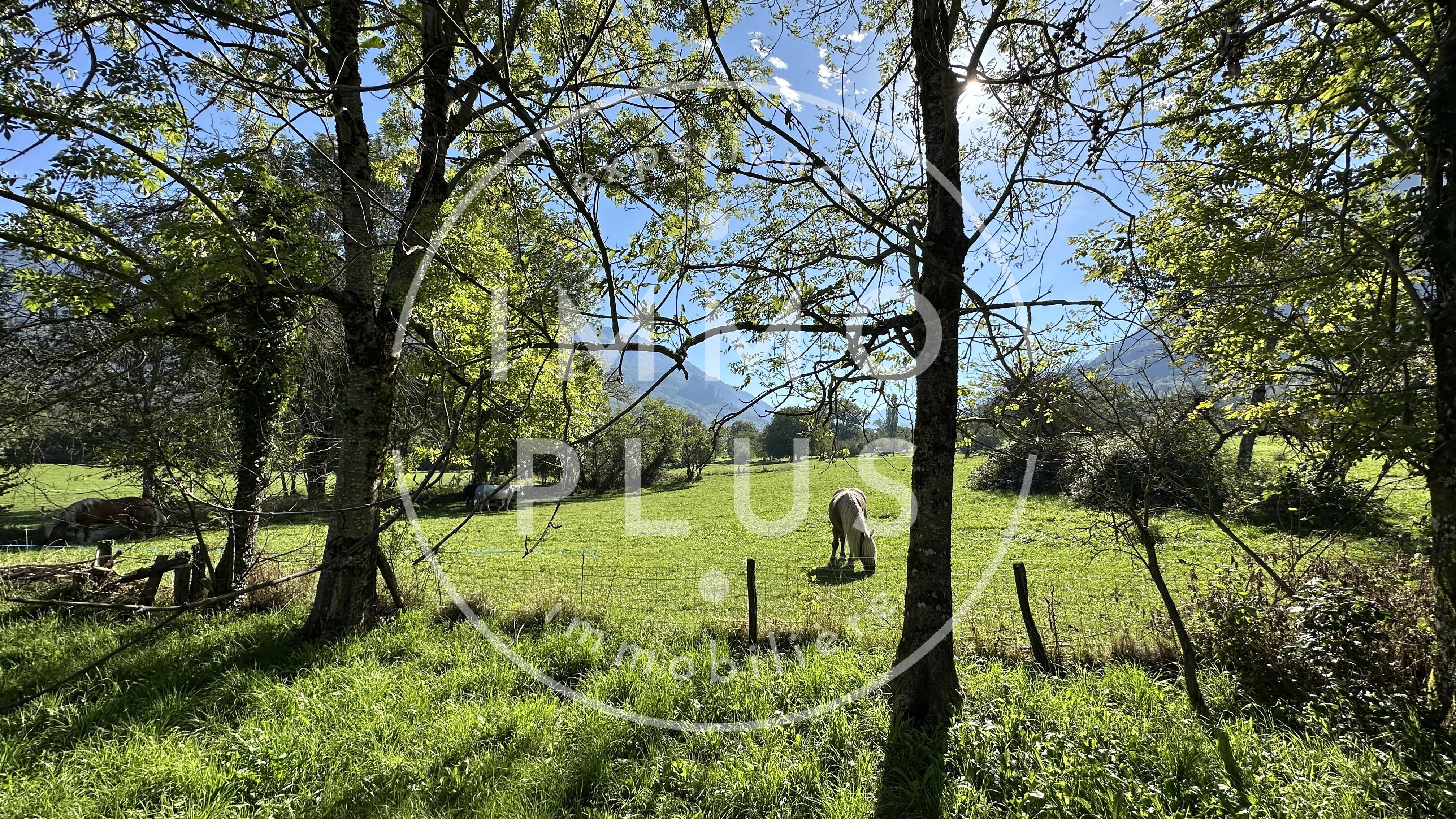 Photo Ferme authentique à rénover – Grand terrain, écuries, potentiel exceptionnel