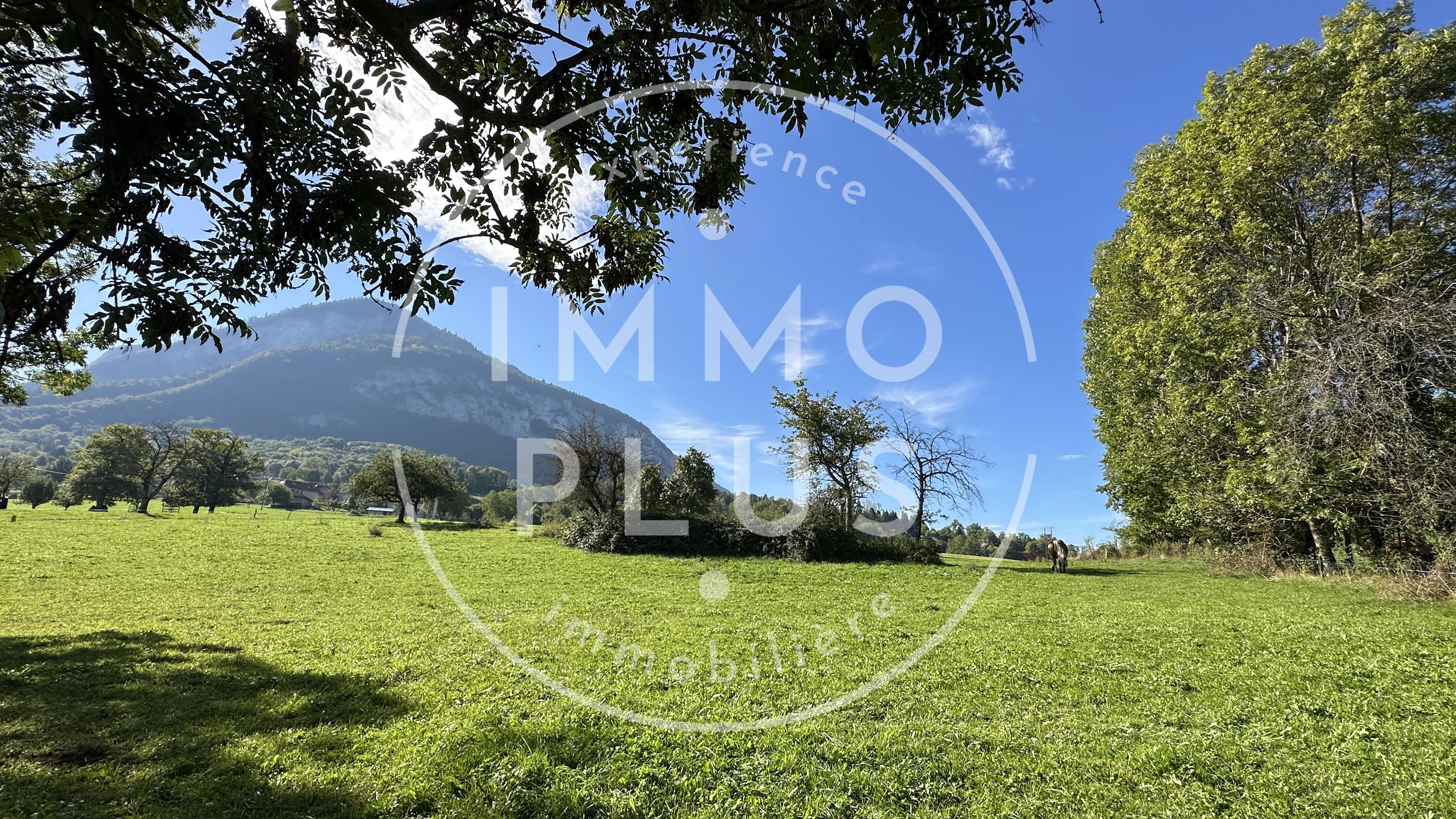 Photo Ferme authentique à rénover – Grand terrain, écuries, potentiel exceptionnel