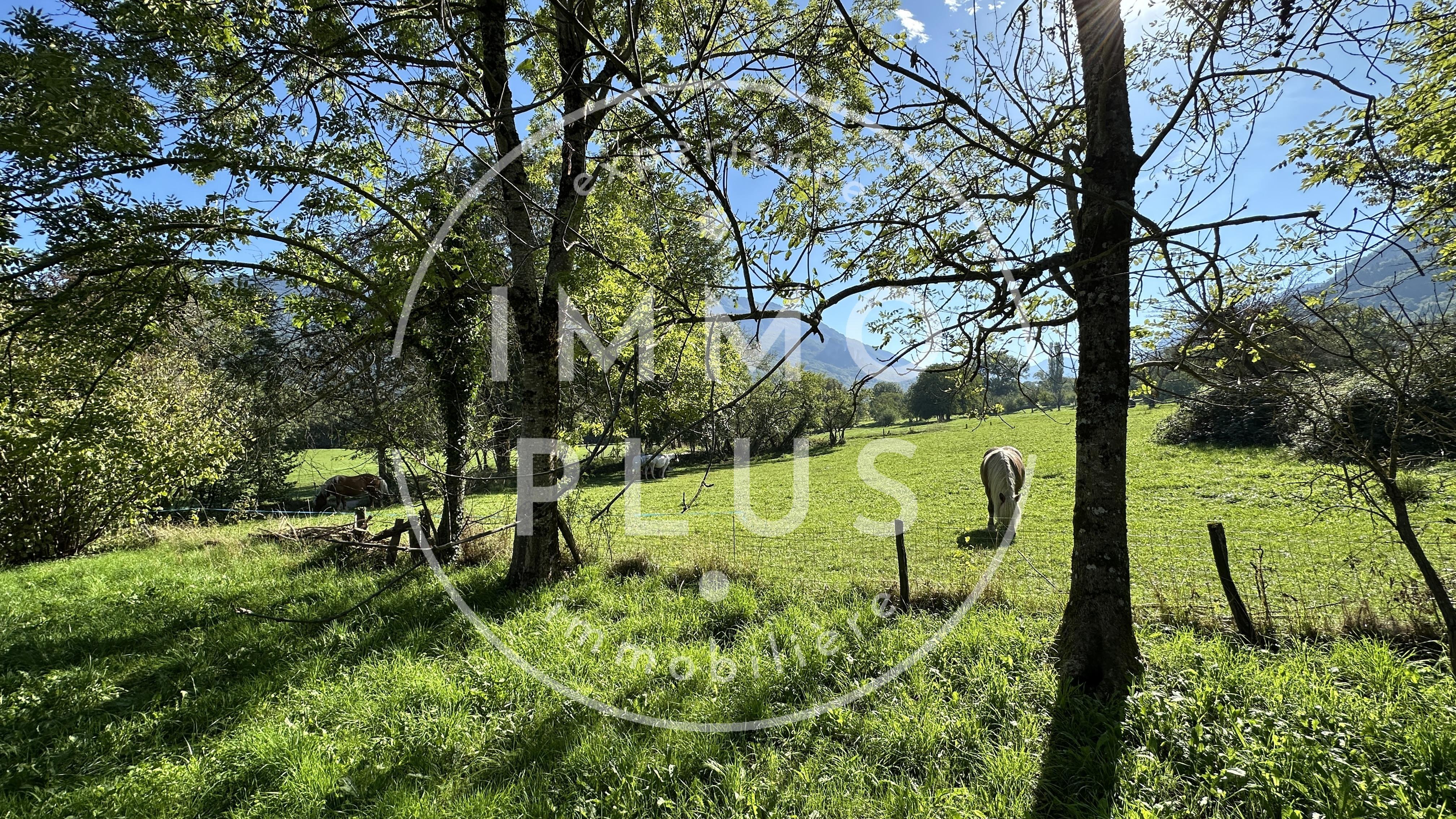 Photo Ferme authentique à rénover – Grand terrain, écuries, potentiel exceptionnel