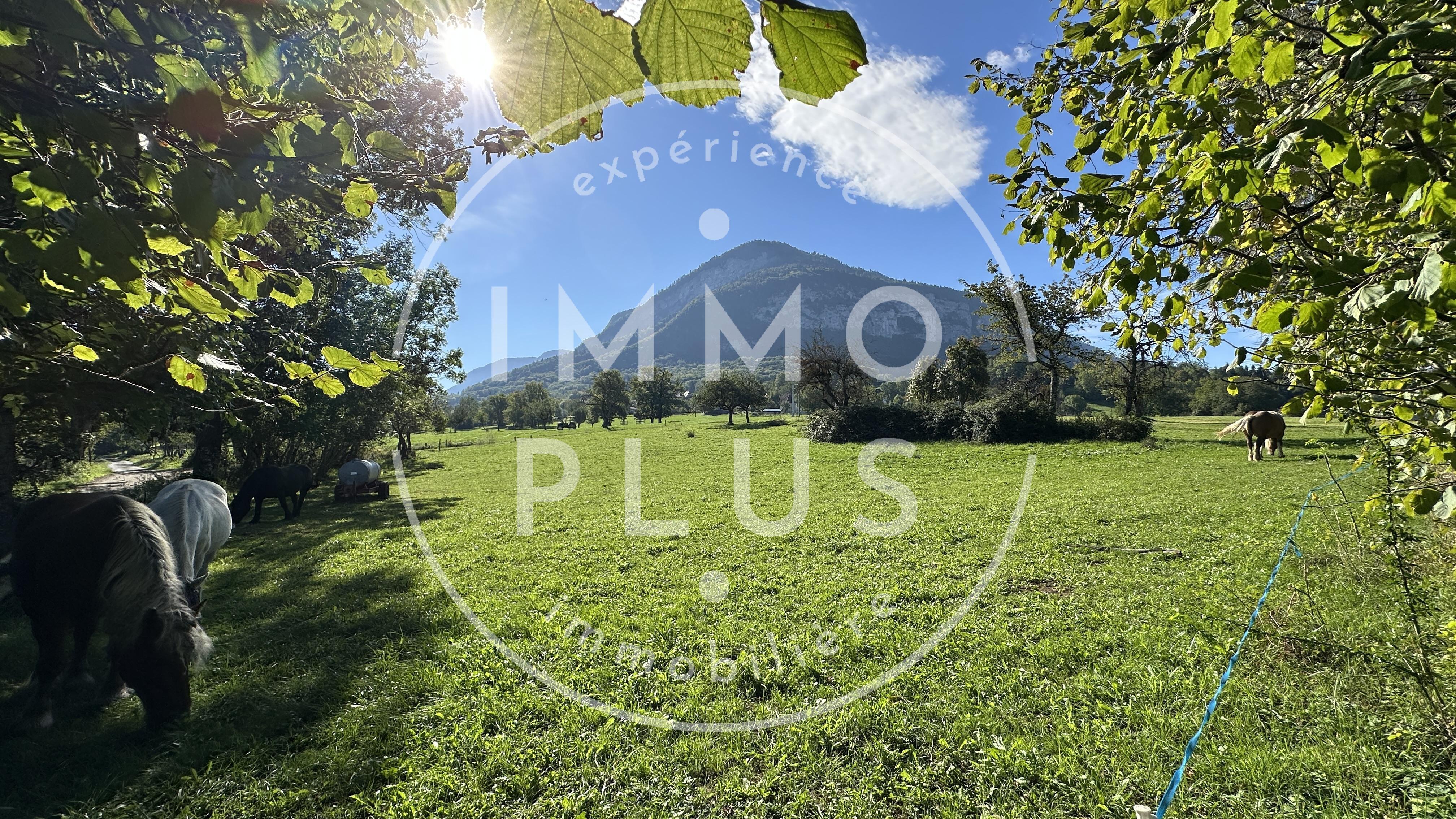 Photo Ferme authentique à rénover – Grand terrain, écuries, potentiel exceptionnel